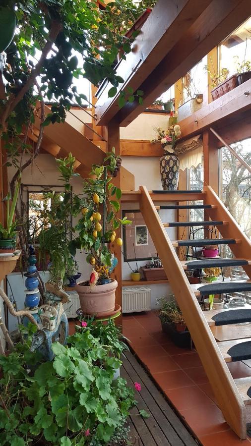 Zentrale Ferienwohnung Auf Dem Schoenen Hunsrueck Halsenbach Ngoại thất bức ảnh
